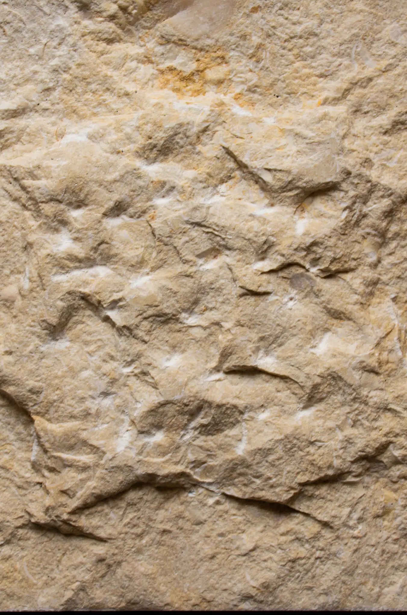 Kamień Elewacyjny Dekoracyjny Na Ścianę Marmur Sand Cream 20-40x10x2-3cm Naturalny - obrazek 3