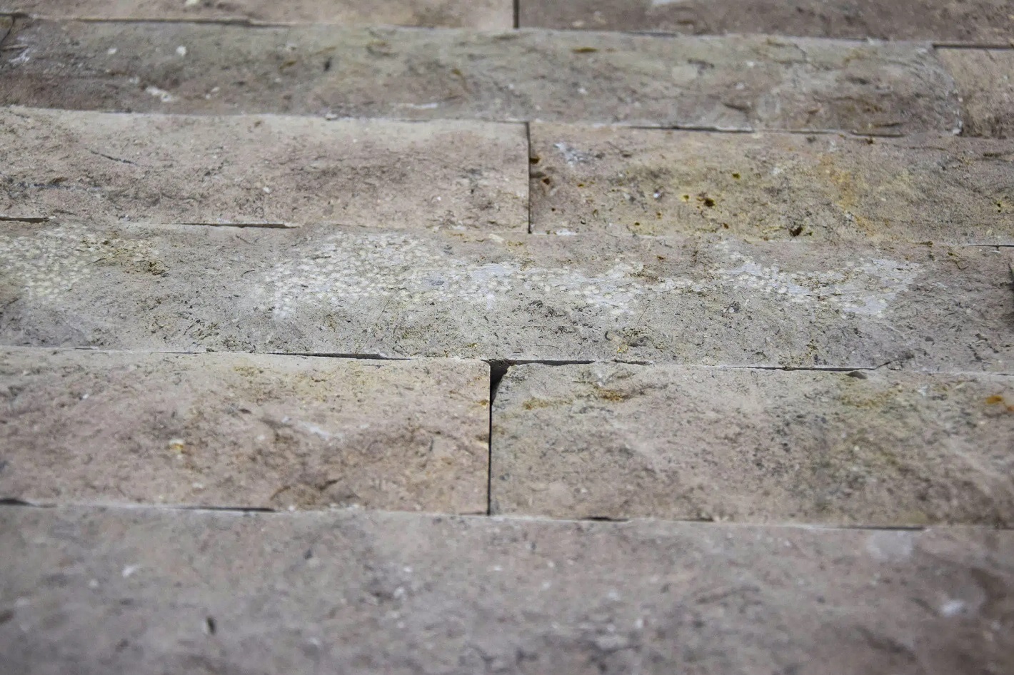 Kamień Elewacyjny Trawertyn PALERMO GREY Dekoracyjny Na Ścianę 30x6x1,5cm Naturalny - obrazek 3